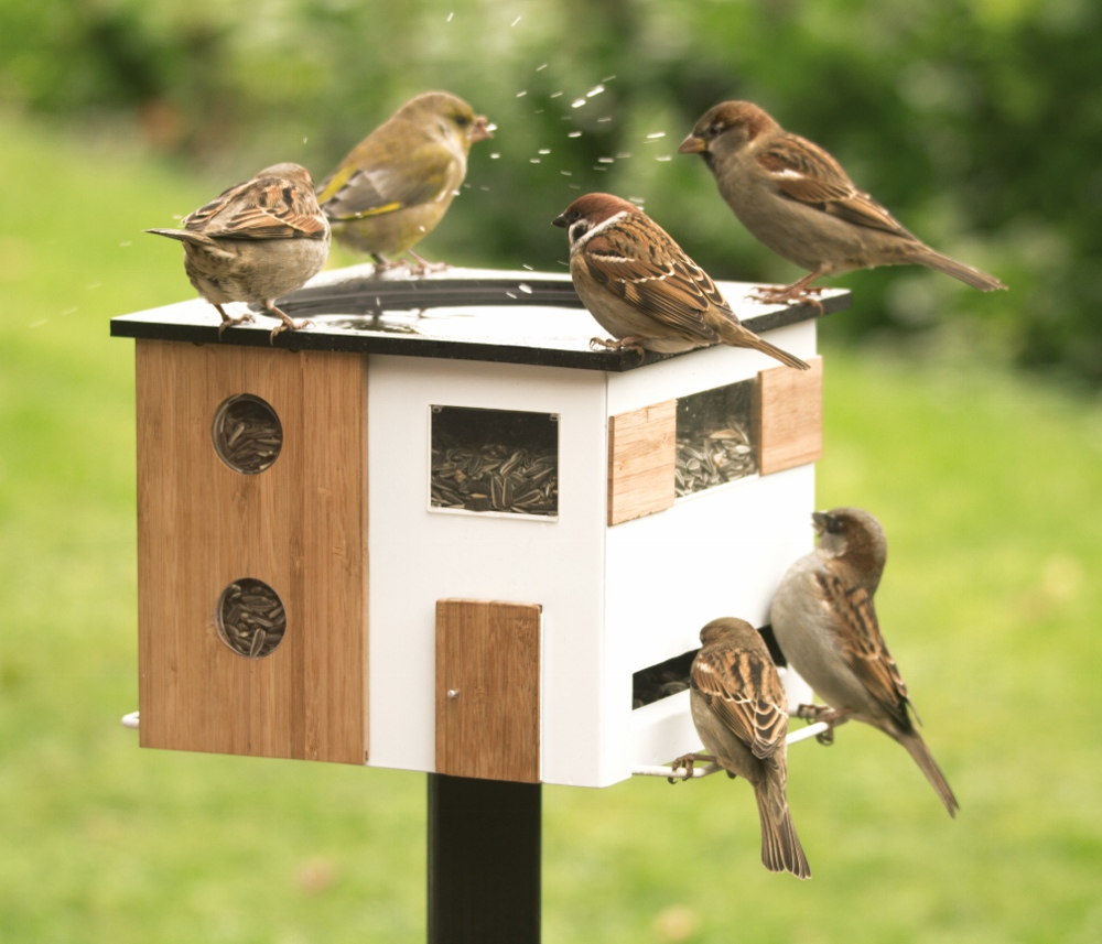 Vogelhuisje voor de tuin van het Zweedse wildlife Garden