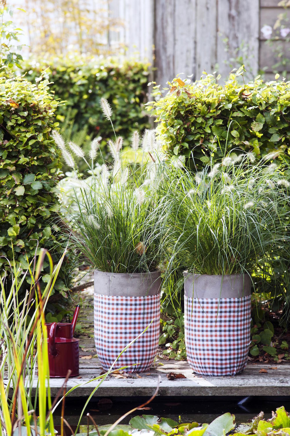 Tuinplanten die een positieve en kalmerende invloed hebben #tuinplanten #tuin #balkon #mooiwatplantendoen #siergrassen