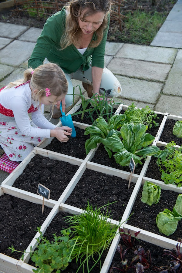 Groenten uit eigen tuin met Pokon