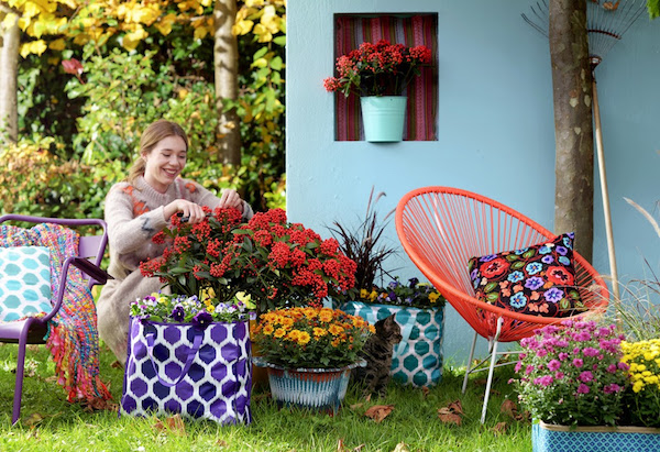 Herfst in de tuin